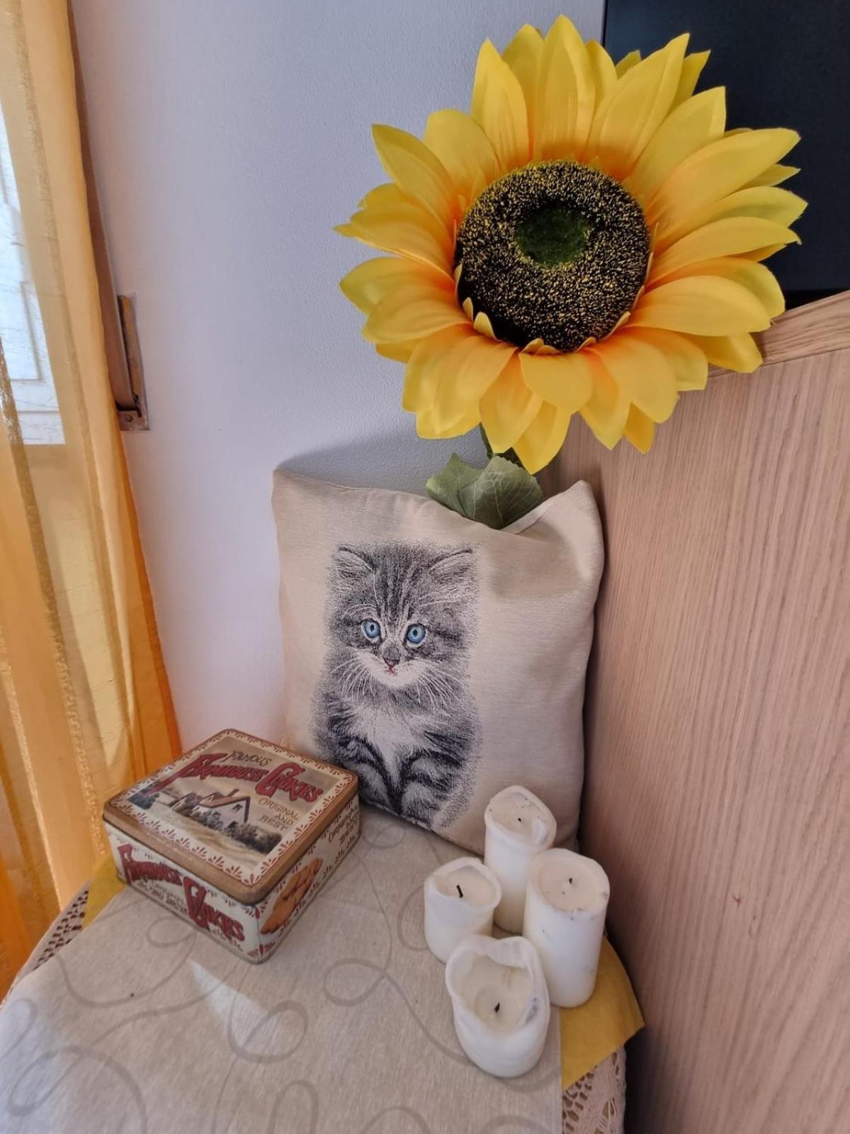 Il Girasole Di Spezia Appartamento *