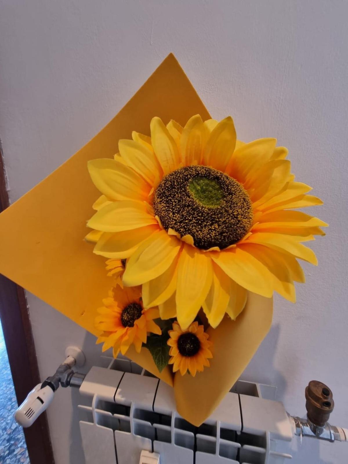 Il Girasole Di Spezia * La Spezia